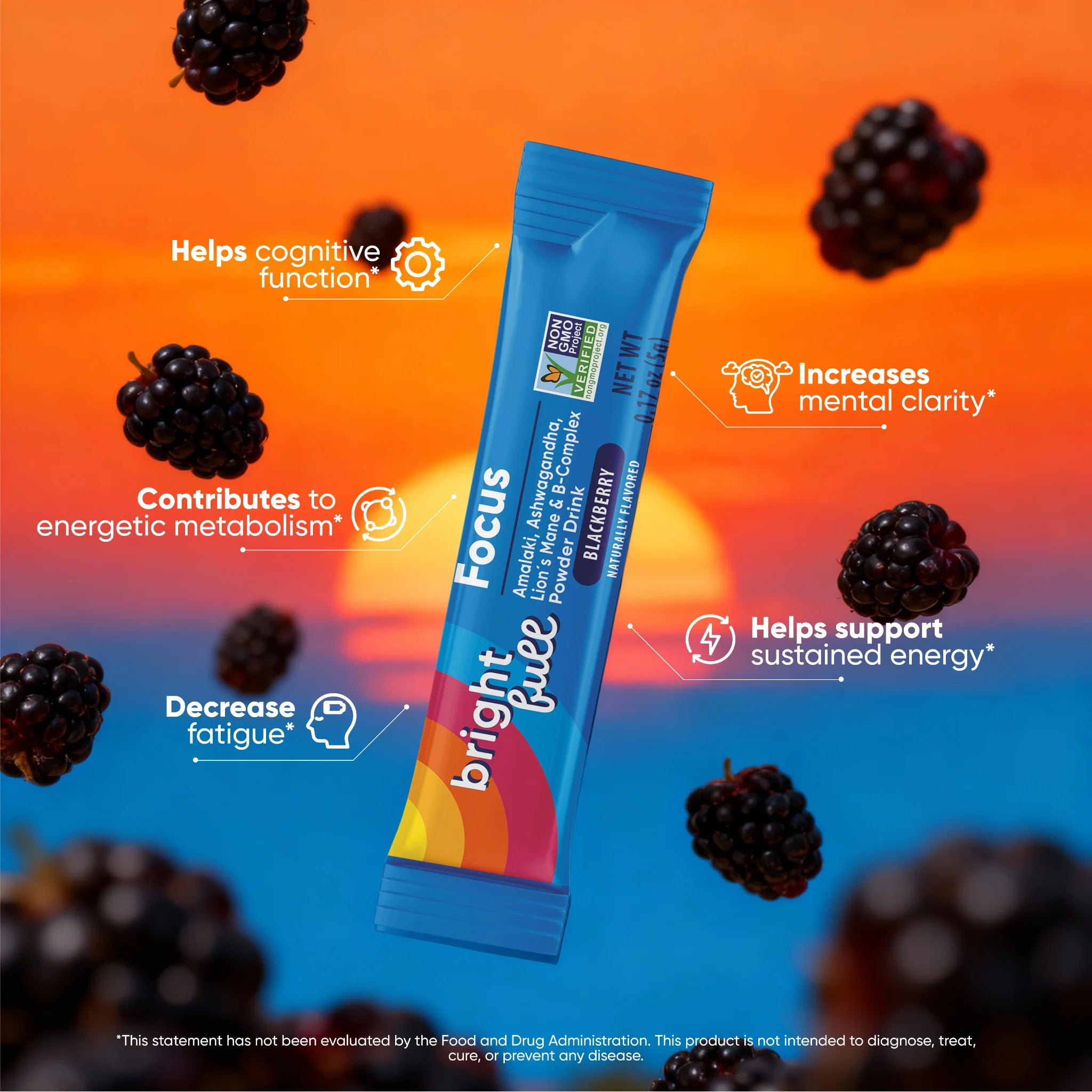 Brightfull Focus | Mental Silence & Metabolic Agency